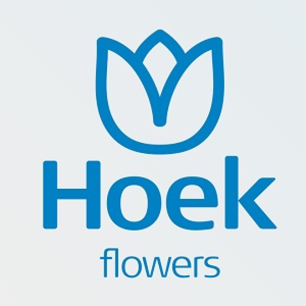HOEK Flowers